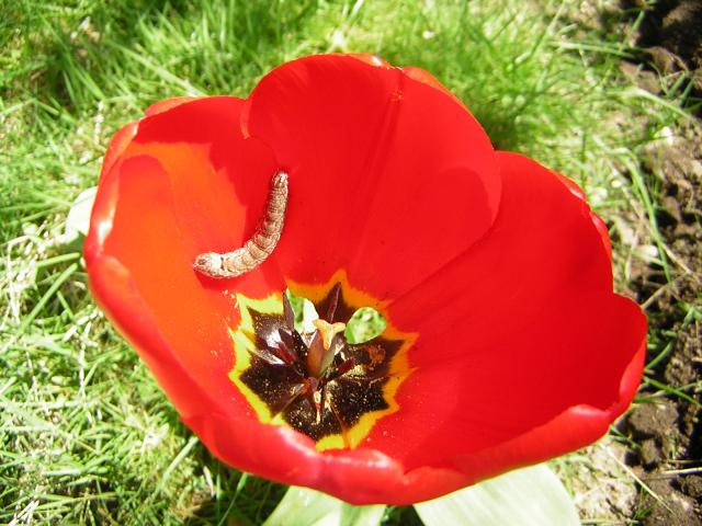 DSCN1476.jpg