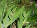 DSCN1484.jpg