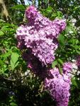 DSCN1488.jpg