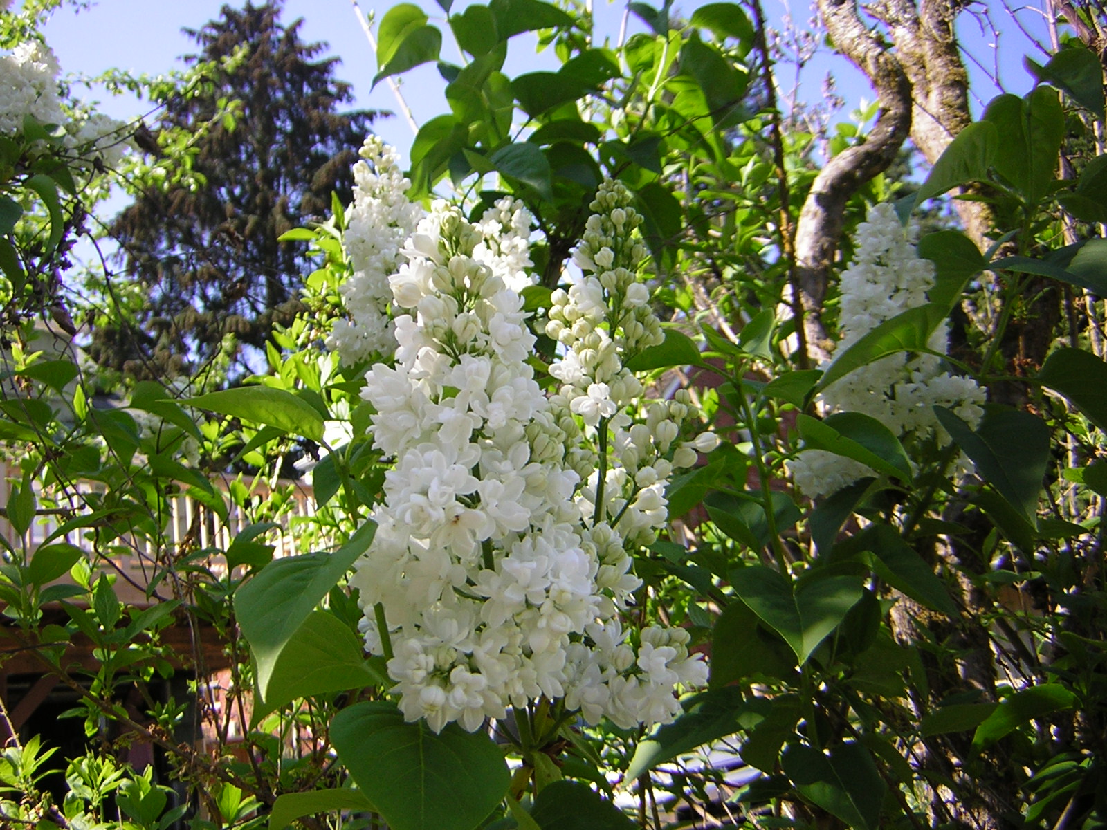DSCN1490.jpg