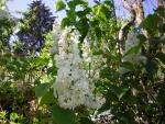 DSCN1490.jpg