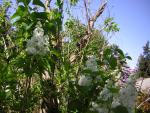 DSCN1491.jpg