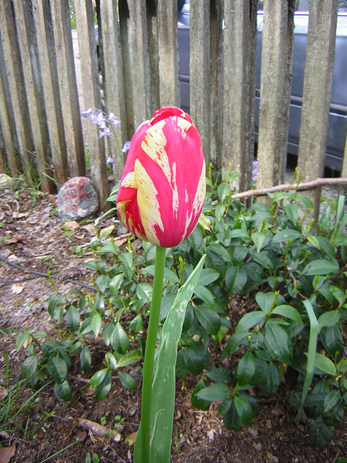DSCN1496.jpg