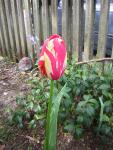 DSCN1496.jpg