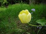 DSCN1497.jpg
