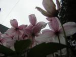 DSCN1513.jpg