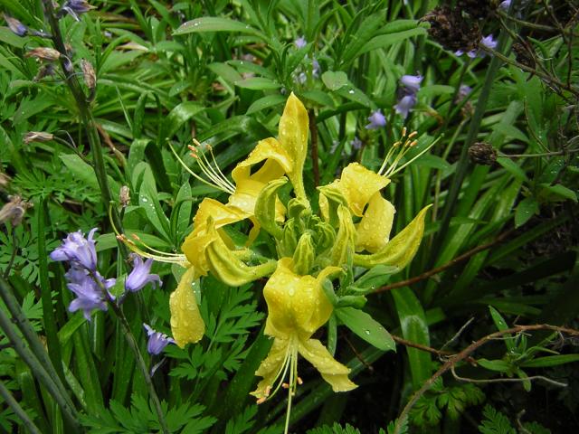DSCN1510.jpg