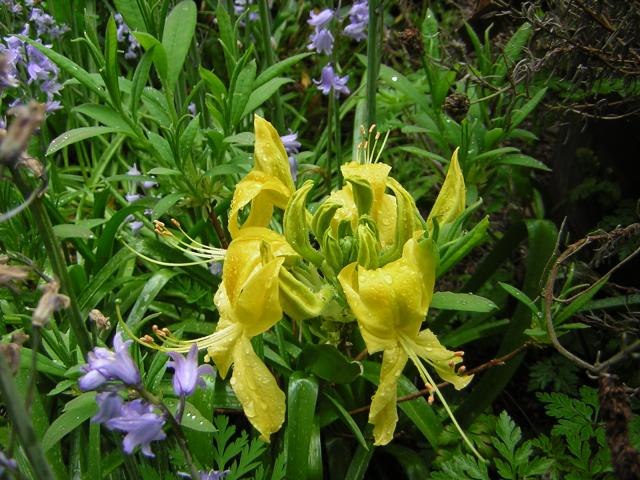 DSCN1511.jpg