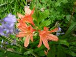 DSCN1514.jpg