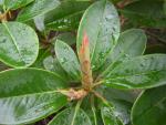 DSCN1515.jpg