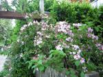 DSCN1519.jpg