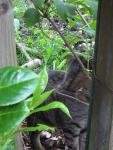 DSCN1523.jpg
