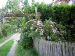 DSCN1529.jpg