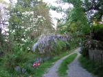 DSCN1530.jpg