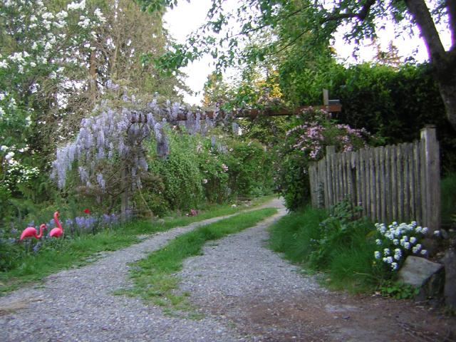 DSCN1535.jpg