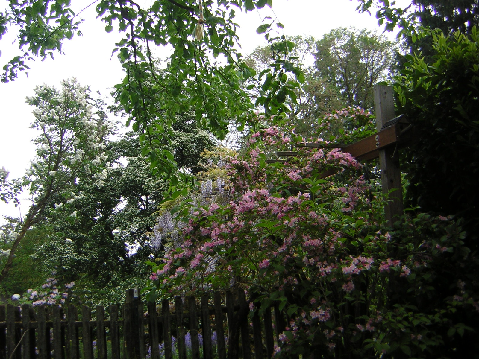 DSCN1536.jpg