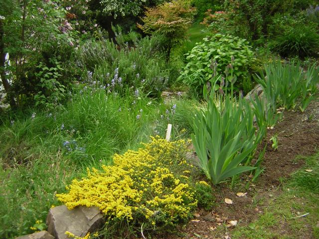 DSCN1537.jpg