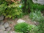 DSCN1538.jpg