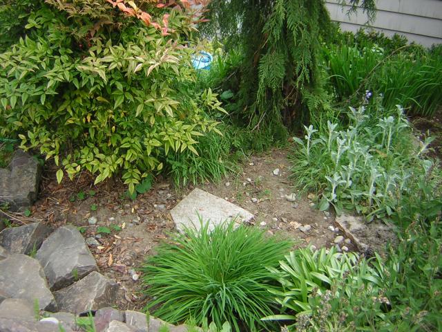 DSCN1538.jpg