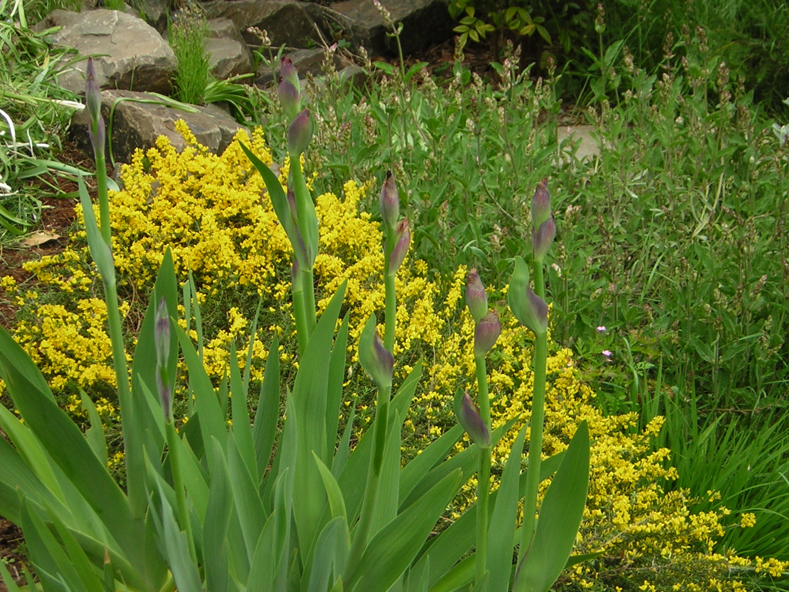 DSCN1539.jpg