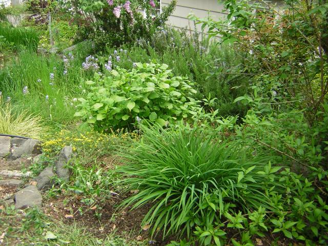 DSCN1540.jpg