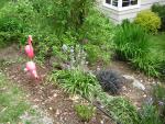 DSCN1541.jpg