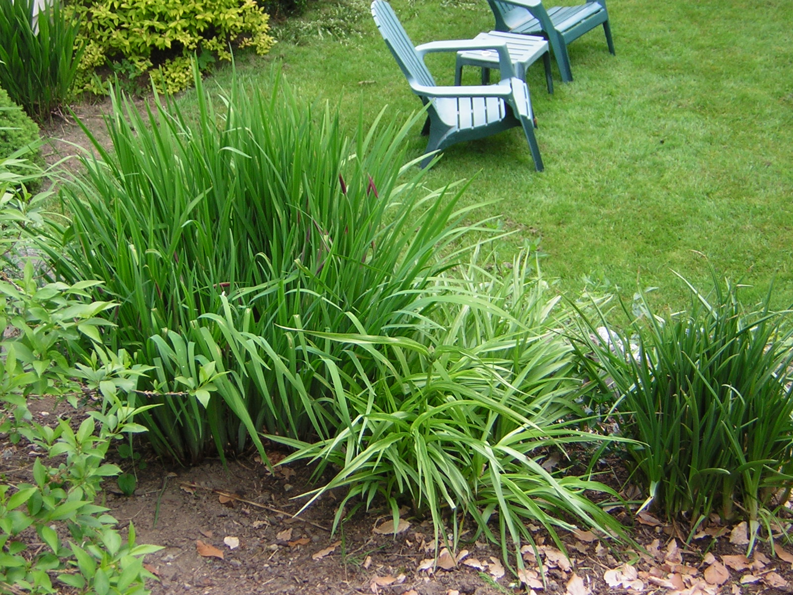 DSCN1542.jpg