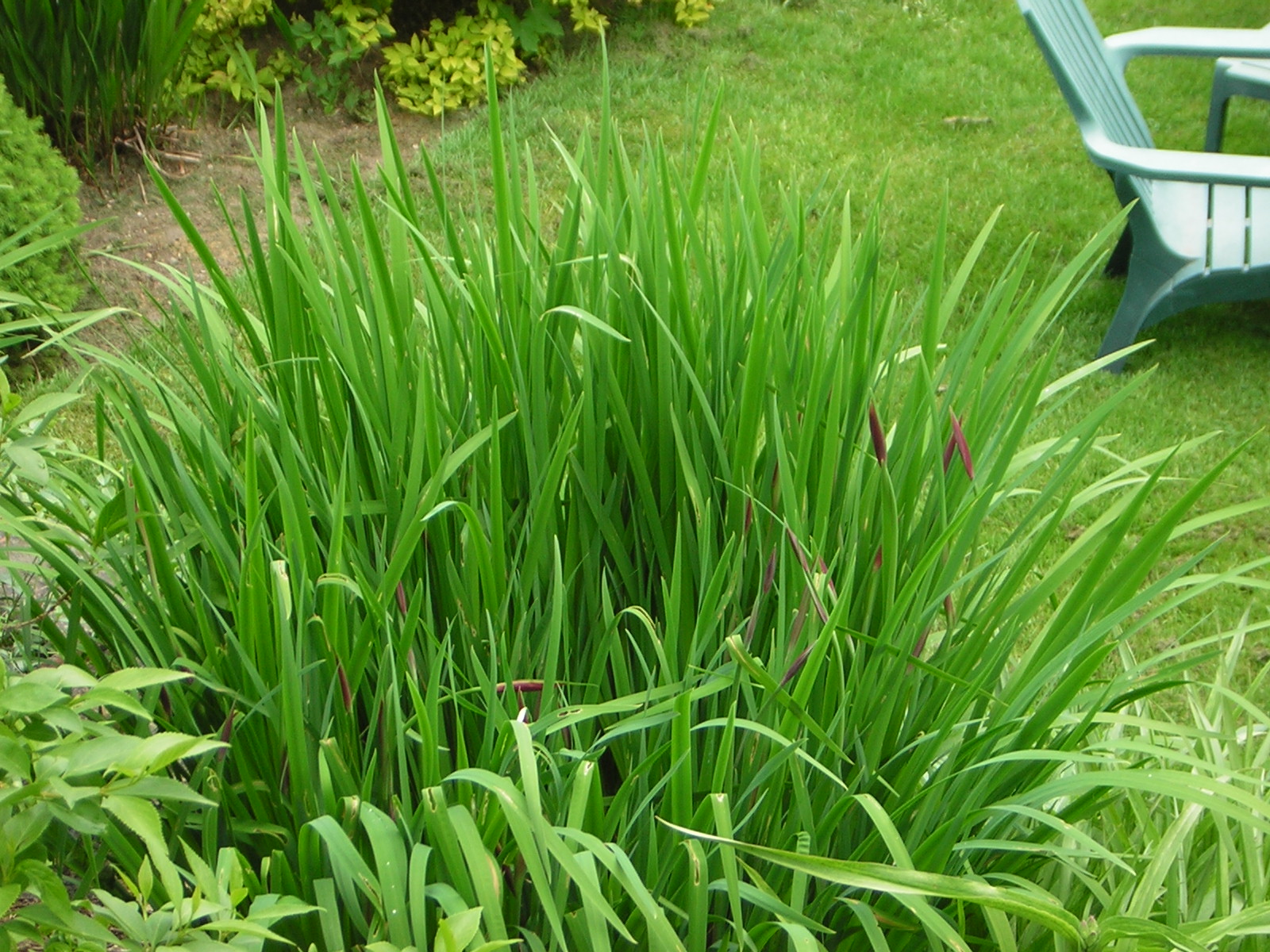 DSCN1543.jpg