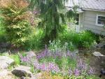 DSCN1757.jpg
