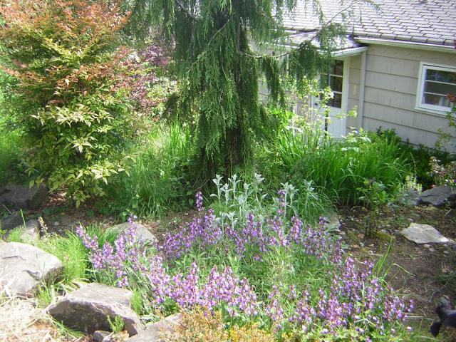 DSCN1757.jpg