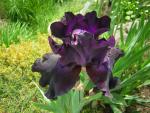 DSCN1758.jpg