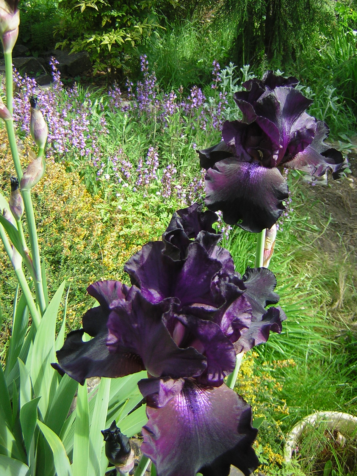 DSCN1759.jpg