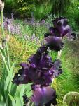DSCN1759.jpg
