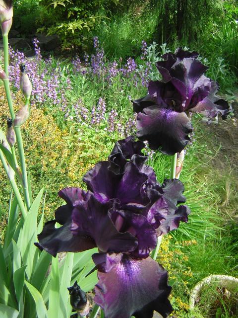 DSCN1759.jpg