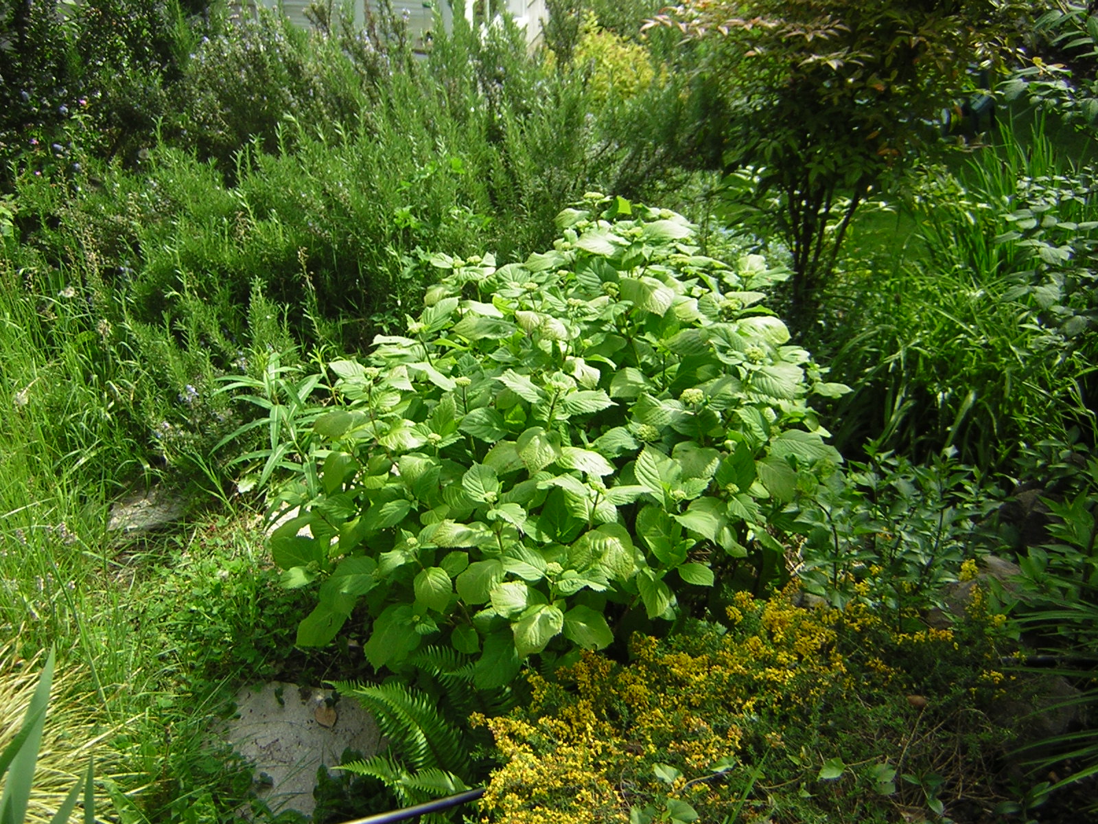DSCN1760.jpg