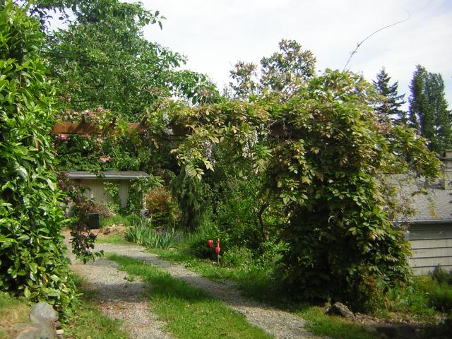 DSCN1761.jpg