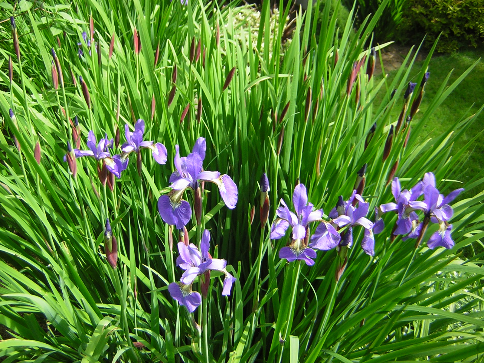 DSCN1764.jpg