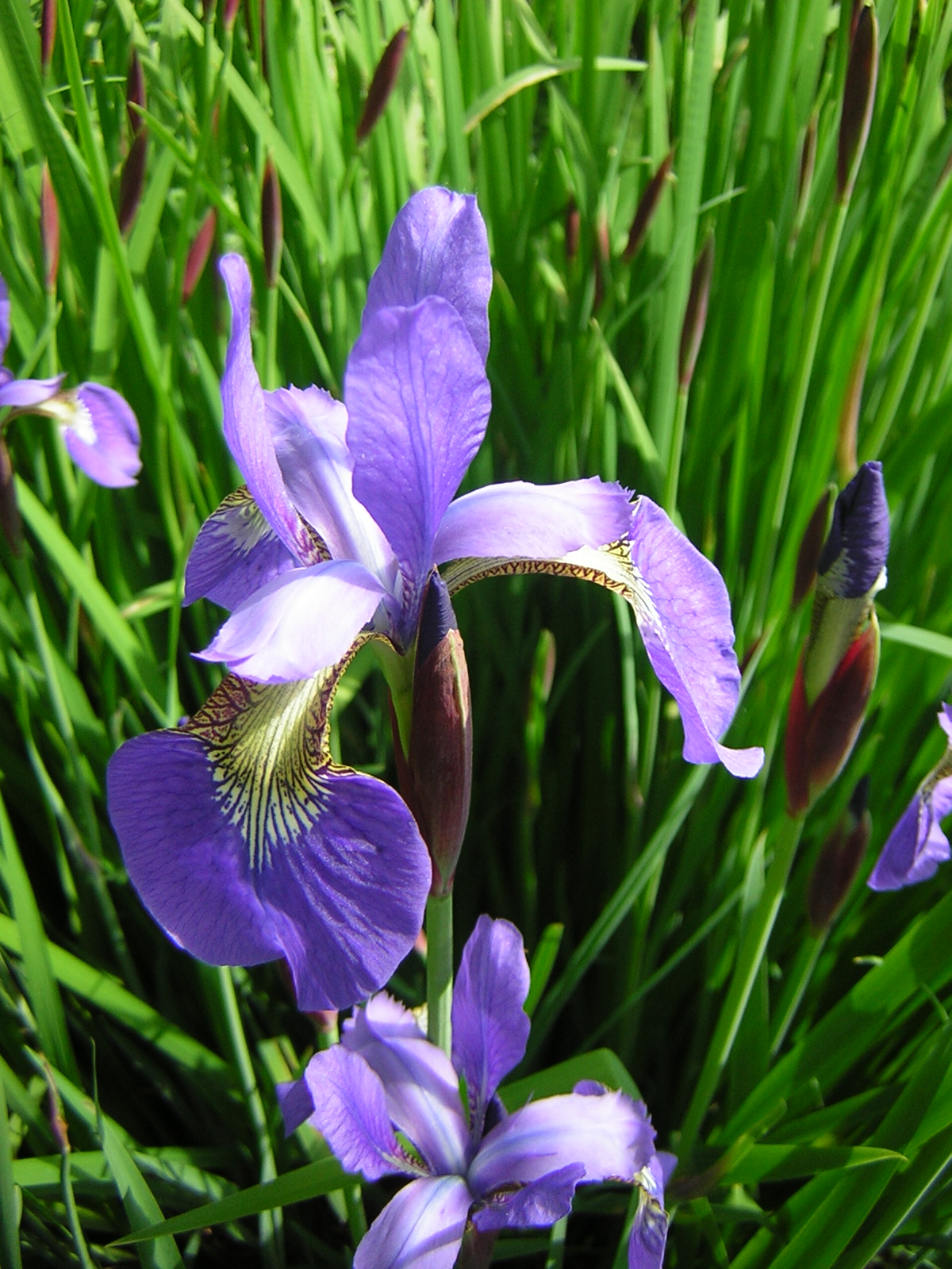 DSCN1766.jpg