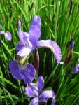 DSCN1766.jpg