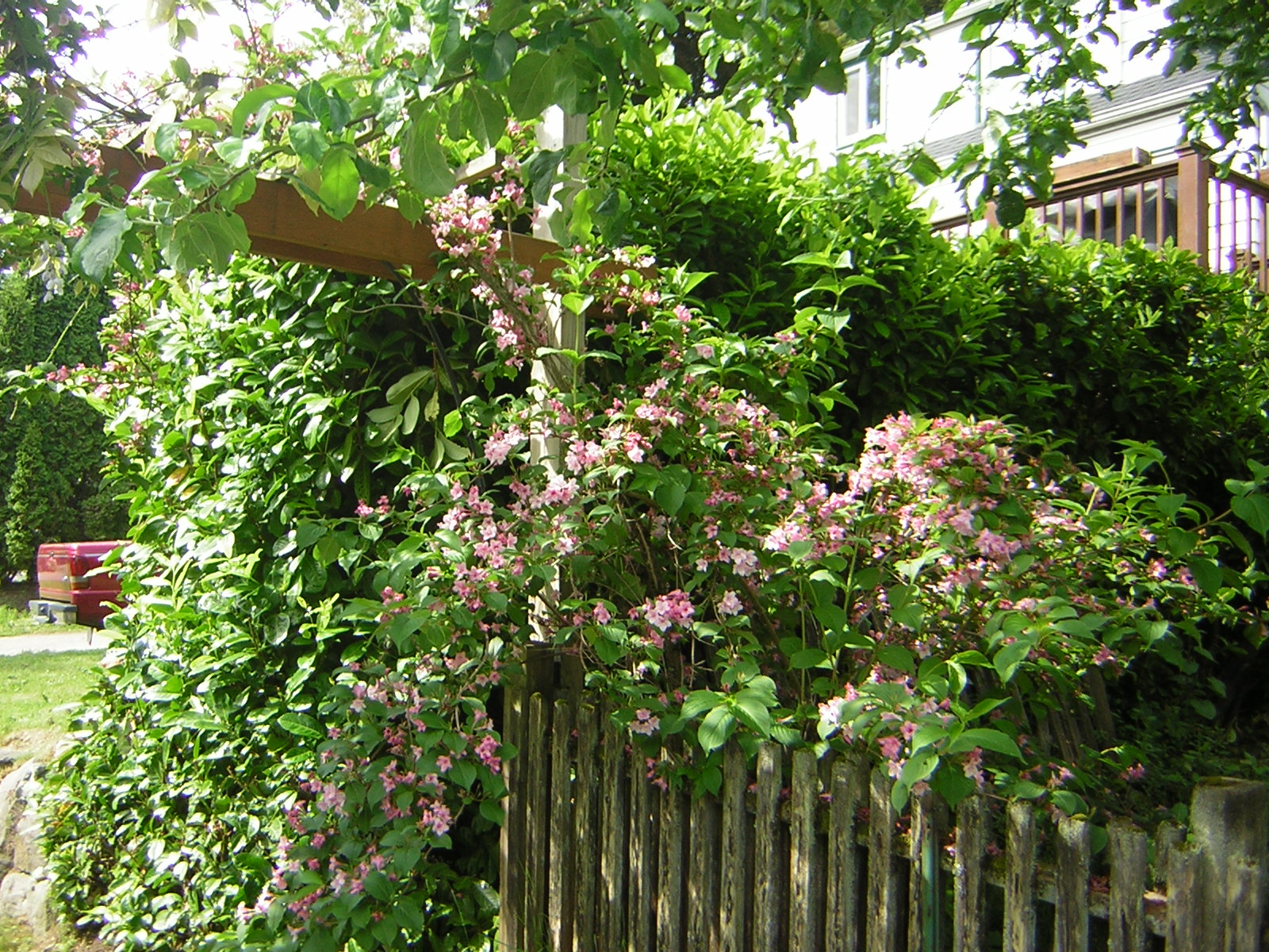 DSCN1767.jpg