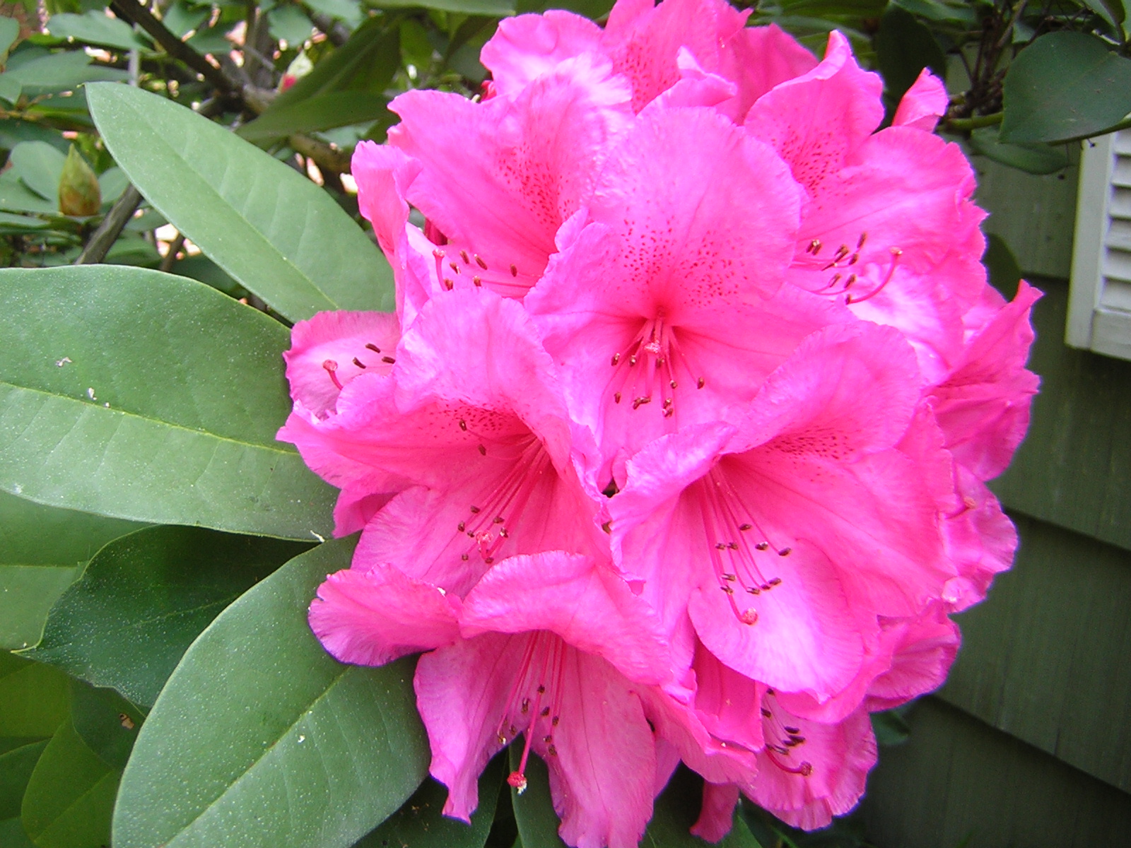 DSCN1768.jpg