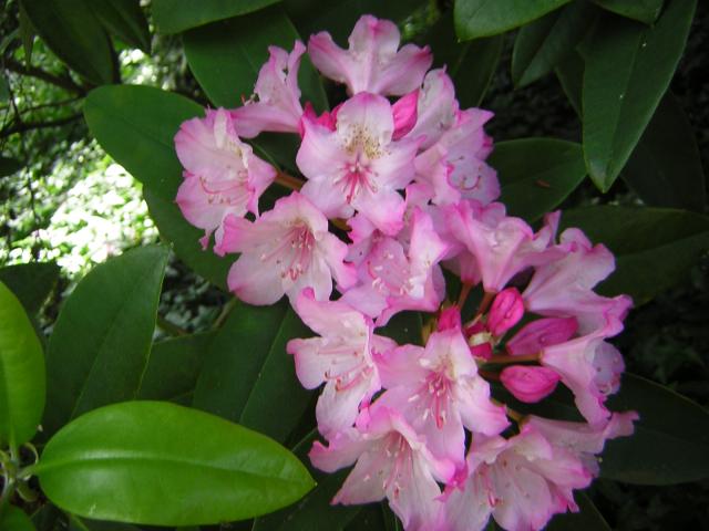 DSCN1769.jpg