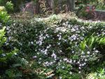 DSCN1771.jpg