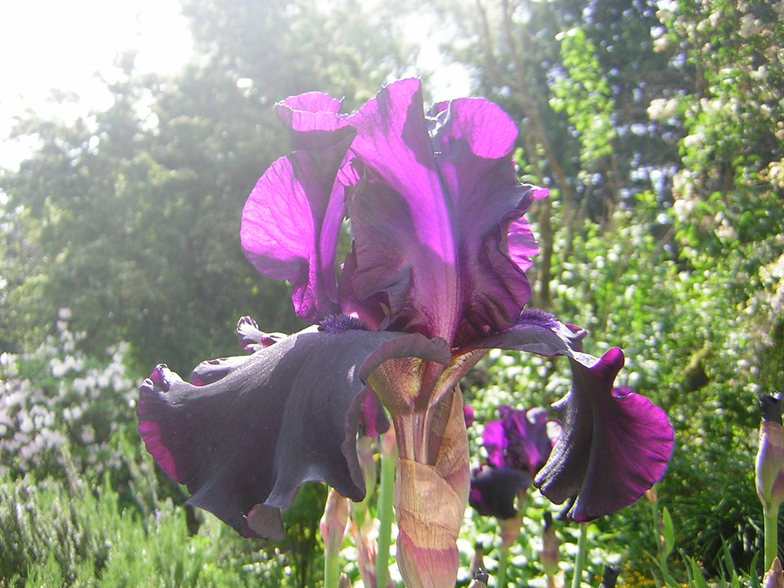 DSCN1772.jpg