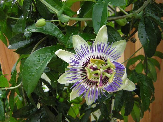 DSCN1776.jpg