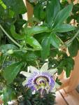 DSCN1778.jpg