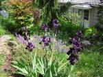 DSCN1779.jpg