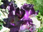 DSCN1780.jpg