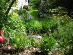 DSCN1810.jpg