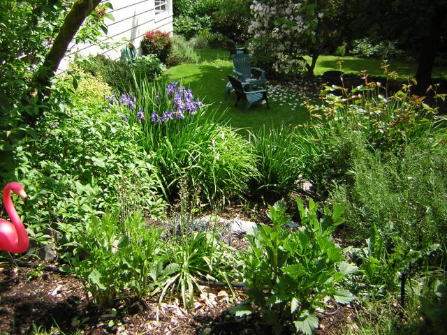 DSCN1810.jpg